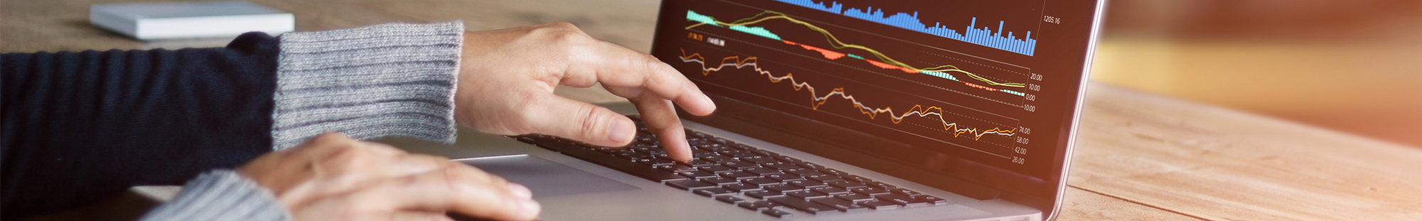 person using a laptop to check banking data