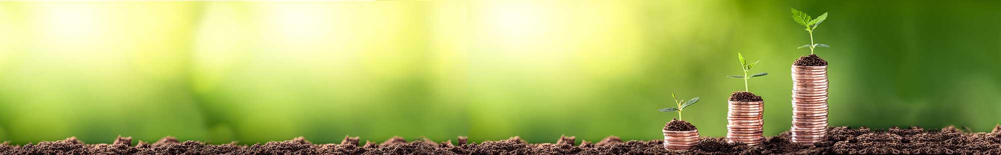 Stacks of pennies on a green background with dirt