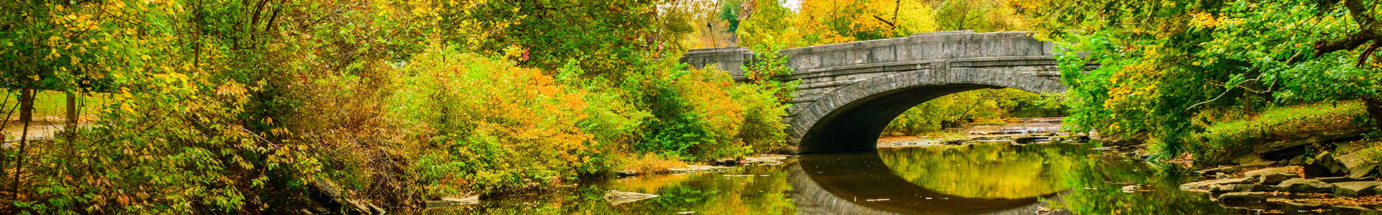 landscape with bridge