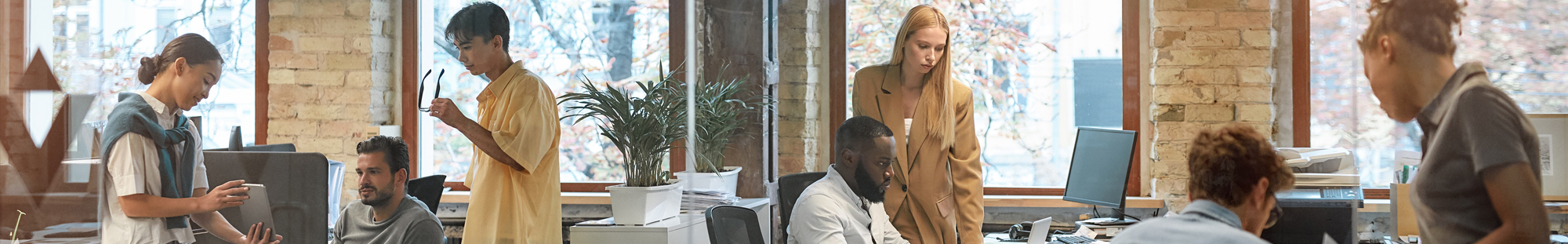 Group of young mixed race business people working together in the office