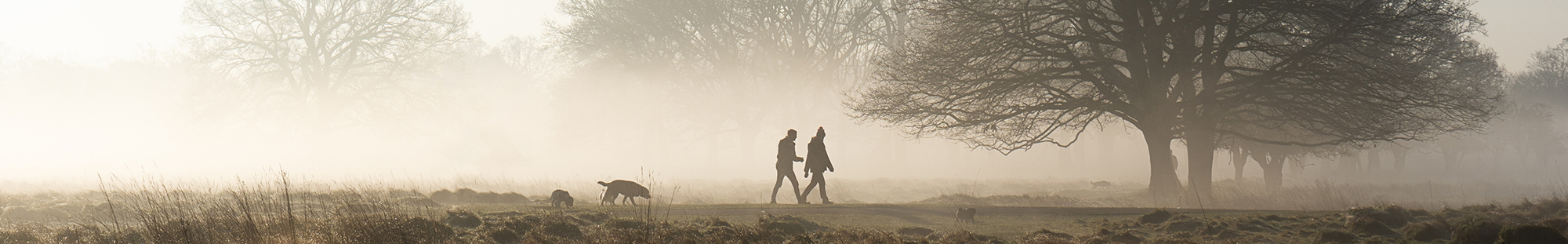a couple walking their dog in the mist