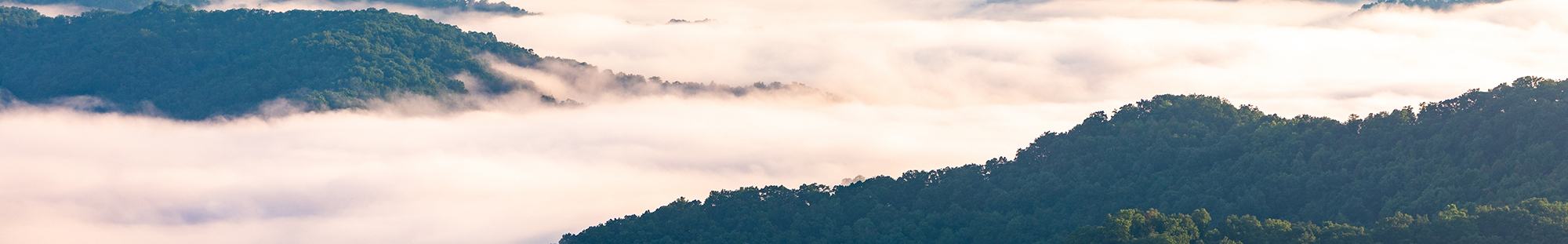 fog rising from the Great Smoky Mountains